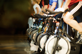 bicycles at the gym